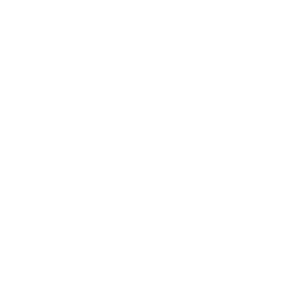 nusense logo